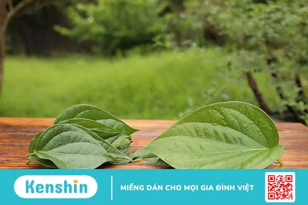 Gợi ý cách trị thâm vùng kín tại nhà hiệu quả 3