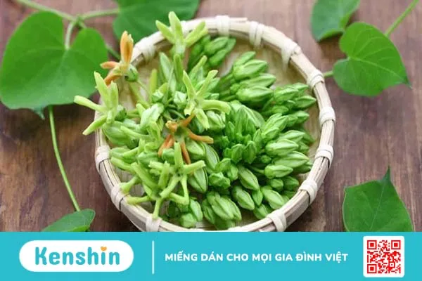 Gợi ý một số phương pháp dùng thuốc nam trị bệnh trĩ 1