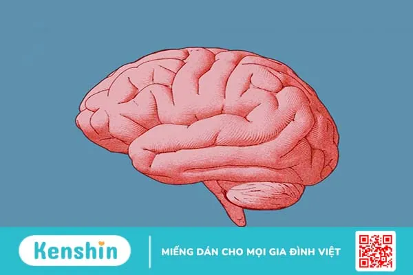 Hàng triệu người có nguy cơ bị chẩn đoán sai với chứng suy giảm trí não 1