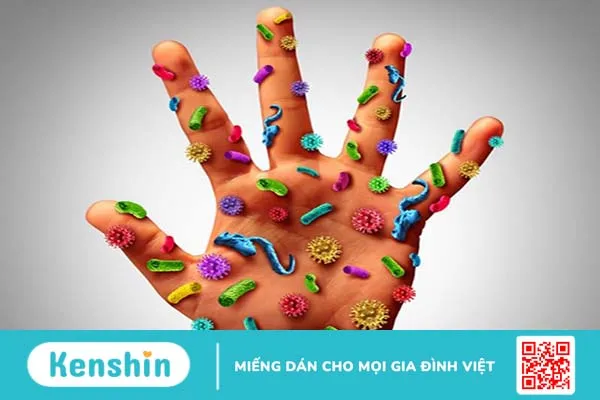 Hệ vi sinh vật trên da có đặc điểm gì? Cách bảo vệ da an toàn 1