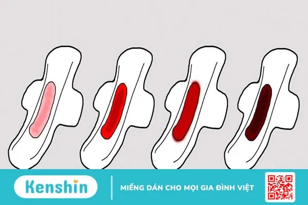 Hết sản dịch bao lâu thì có kinh trở lại? Phân biệt sản dịch và kinh nguyệt sau khi sinh 3