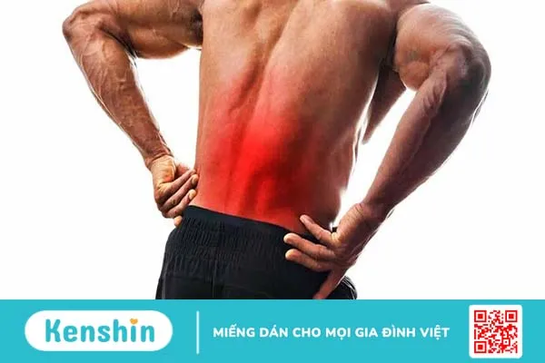 Hít đất bị đau lưng: Nguyên nhân và cách khắc phục 2