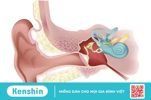 Hội chứng tiền đình Phương pháp điều trị hiệu quả và chẩn đoán chính xác 1