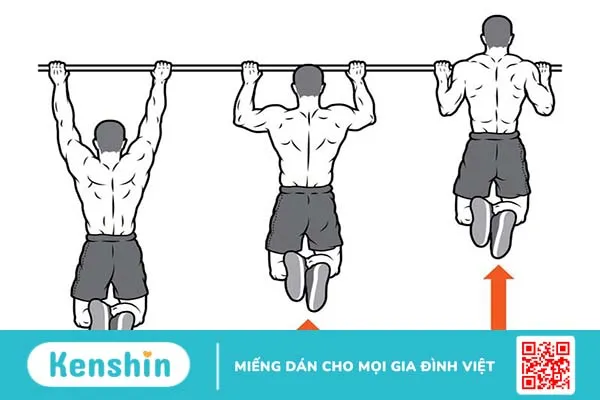 Hướng dẫn bạn các bài tập tăng sức mạnh cơ tay đơn giản tại nhà 3