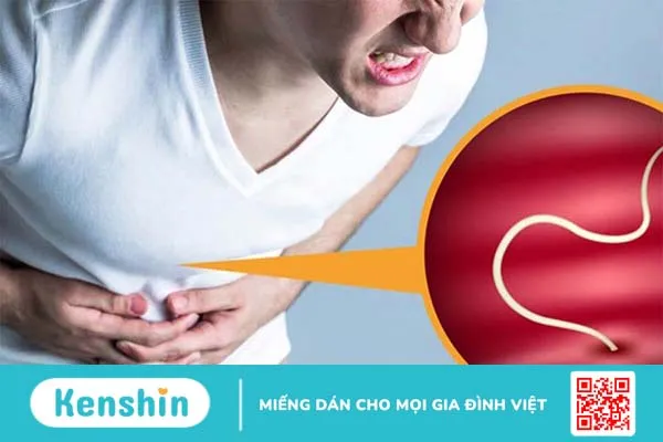 Hướng dẫn cách bắt giun kim ở bộ phận sinh dục nữ 2