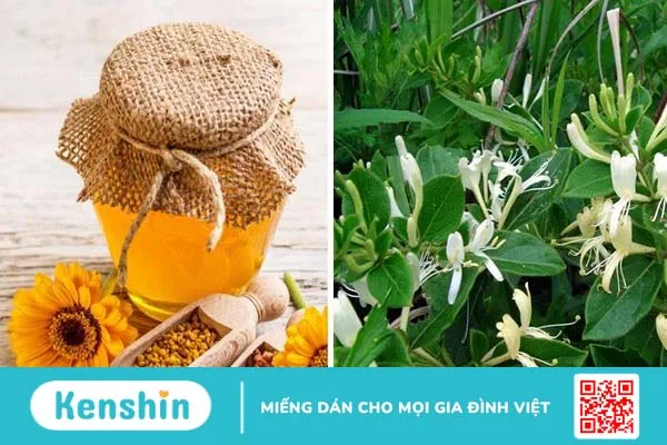 Hướng dẫn cách chữa bệnh trĩ bằng mật ong 3