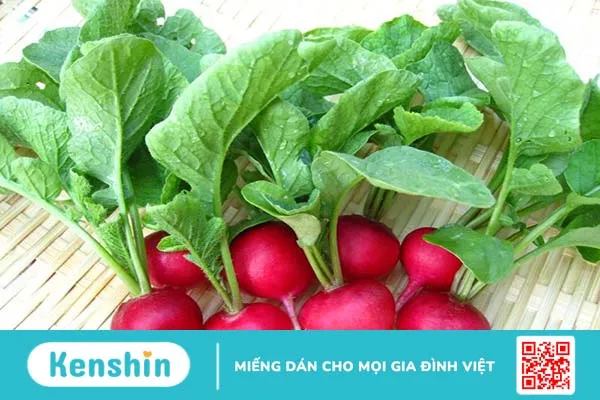 Hướng dẫn cách chữa bệnh trĩ bằng mật ong 4