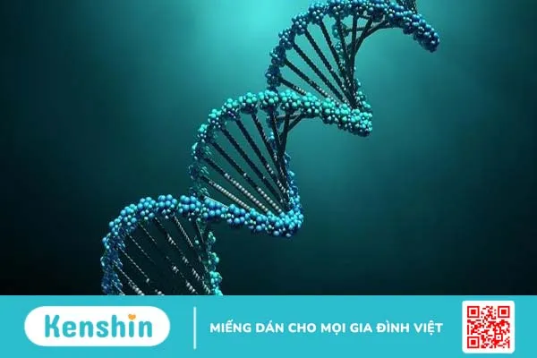 huong-dan-cach-doc-ket-qua-dien-di-dna 4