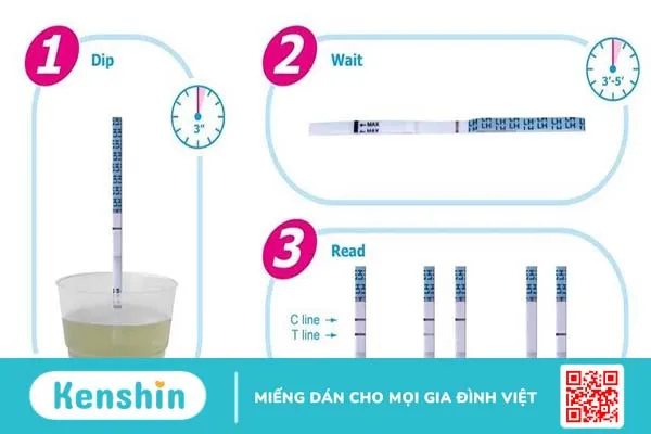 cách sử dụng và đọc kết quả que thử rụng trứng