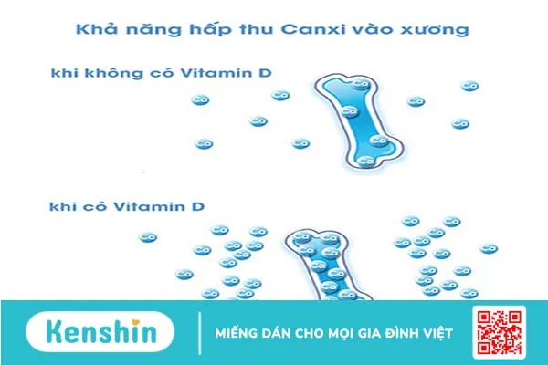 huong-dan-cach-hap-thu-vitamin-d-tu-anh-nang-mat-troi-1.webp