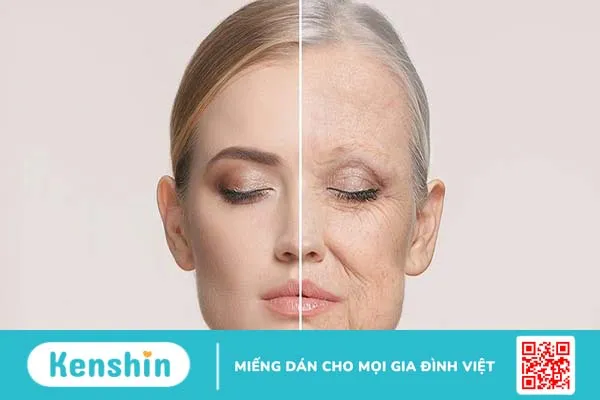 Hướng dẫn cách uống Collagen Mỹ Youtheory 390 cho hiệu quả tốt nhất