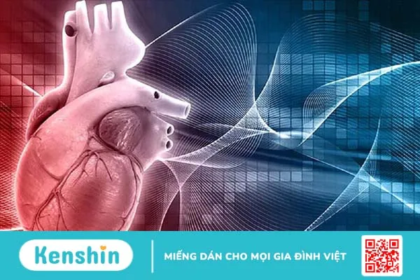 Hướng điều trị thấp tim và các biện pháp phòng ngừa bệnh thấp tim 3