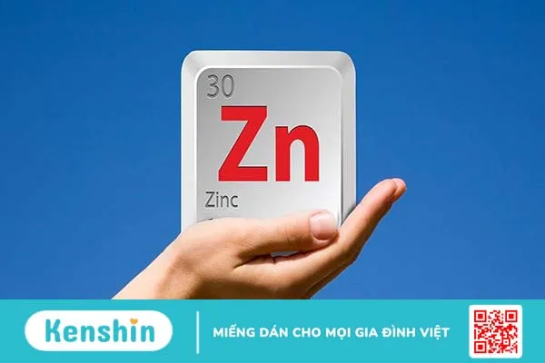 Kẽm sinh học là gì? 5 sự thật thú vị về tác dụng của kẽm sinh học 1