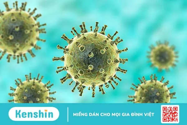 Thủy đậu là một bệnh do virus Varicella gây ra