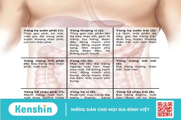 Làm gì khi bị đau bụng dưới ở nam? 1