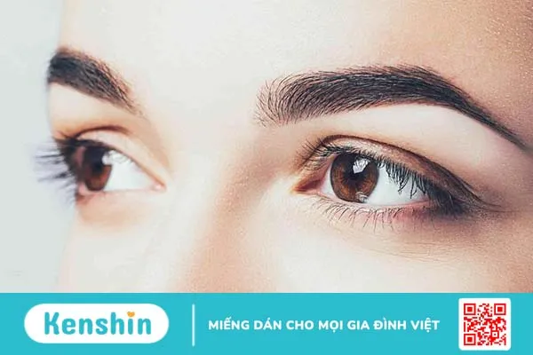 Rau ngót nhật và những lợi ích nó mang lại