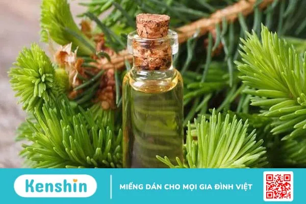 Lợi ích tinh dầu hoàng đàn không phải ai cũng biết 1