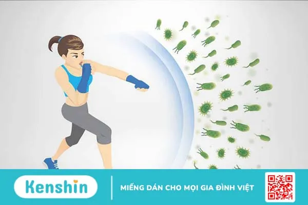 Lupus ban đỏ miễn dịch có nguy hiểm không? Làm sao để giảm căng thẳng khi mắc bệnh 3