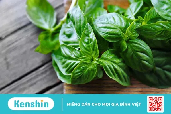 Mách bạn 10 công dụng tuyệt vời của rau quế 3