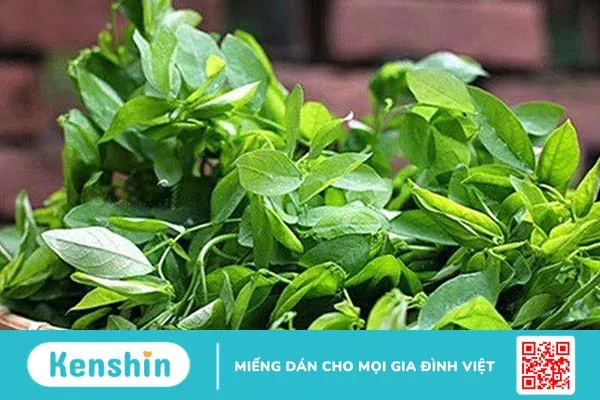 Mách bạn các cách chữa nấm họng bằng thuốc dân gian 1