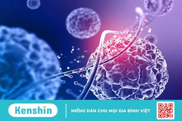 Mách bạn cách bảo quản tỏi đen hiệu quả tại nhà 2