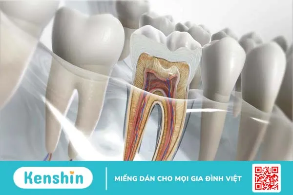 Mài răng đau không? Những điều cần biết về kỹ thuật mài răng trong nha khoa 1