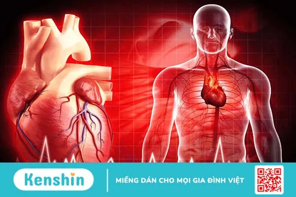 Máy khử rung tim và những điều cần lưu ý 2