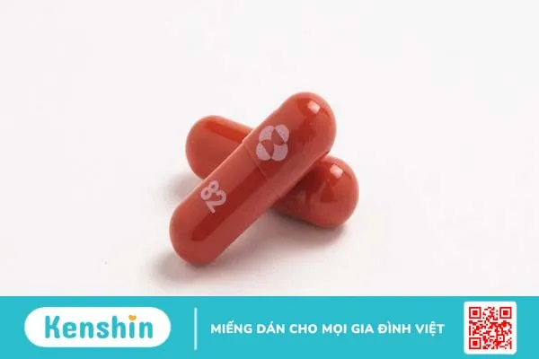 Molnupiravir là thuốc gì? Tác dụng của Molnupiravir đối với bệnh nhân Covid-19 như thế nào 2