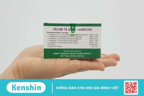 Morcvax: Vacxin đường uống giúp hỗ trợ và phòng ngừa bệnh tả 1