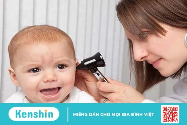 Một số cách chữa viêm tai giữa bằng tổ bọ ngựa1