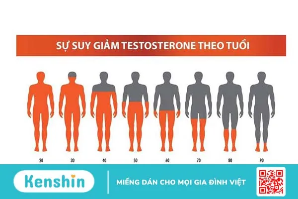 Tổng hợp cách tăng testosterone nam giới cần biết 1