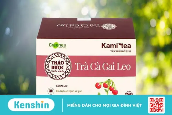 Một số đặc điểm thành phần có trong trà cà gai leo Kami tea