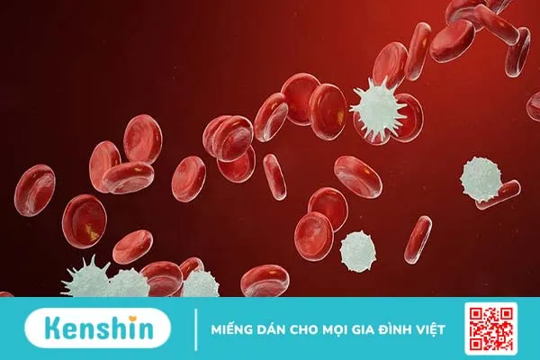 Một số ứng dụng kỹ thuật PCR trong lĩnh vực y học 2