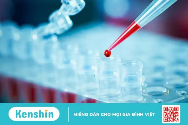 Một số ứng dụng kỹ thuật PCR trong lĩnh vực y học 3