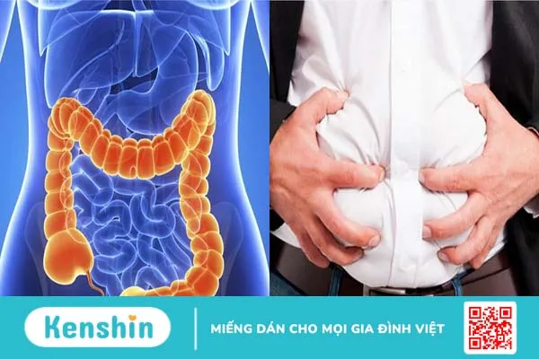 Nấm đùi gà 3