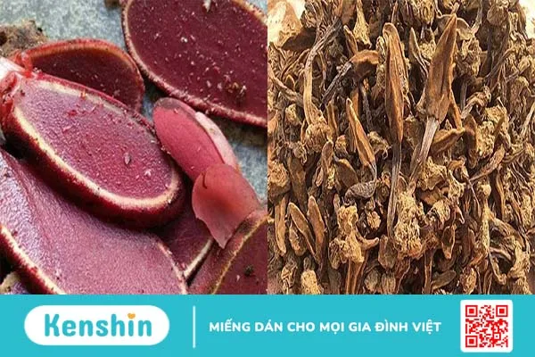 nấm ngọc cẩu ngâm rượu có tốt cho sức khỏe không? -2