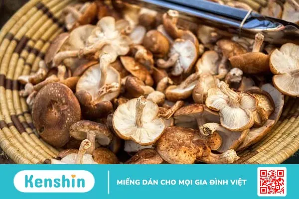 Nấm shiitake là nấm gì và có tác dụng gì với sức khỏe 2