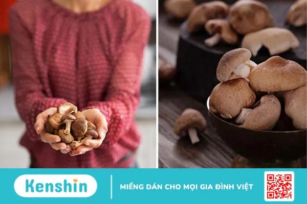 Nấm shiitake là nấm gì và có tác dụng gì với sức khỏe 3