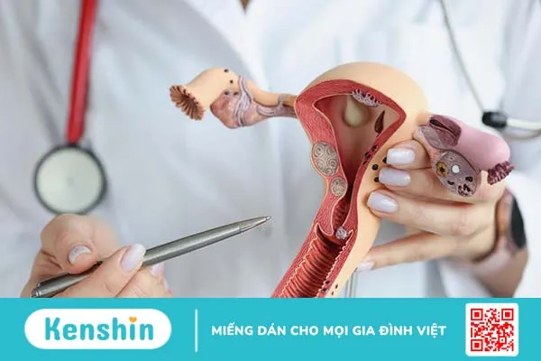 Nang naboth cổ tử cung 8mm có nguy hiểm không 2