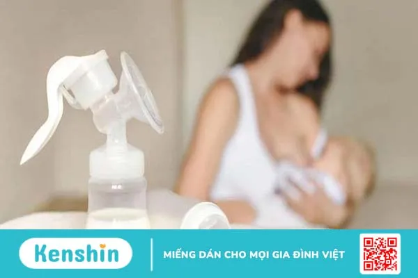 Máy hút sữa bằng tay không sử dụng nguồn điện nên các mẹ có thể mang theo và hút sữa ở bất cứ đâu