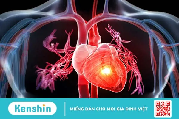 Nghiệm pháp phản hồi gan tĩnh mạch cổ được thực hiện khi nào? 1