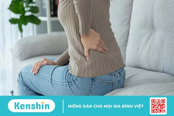 Nghiên cứu tế bào gốc và gel tái tạo đĩa đệm cột sống 1