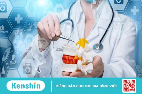 Nghiên cứu tế bào gốc và gel tái tạo đĩa đệm cột sống 5