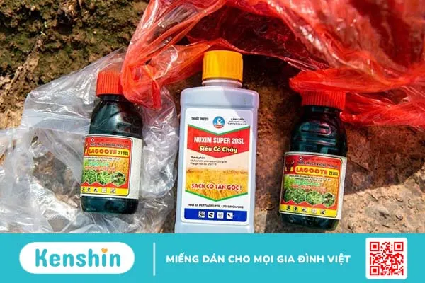 Ngộ độc glufosinate gây ra triệu chứng gì? Cách để phòng ngừa1