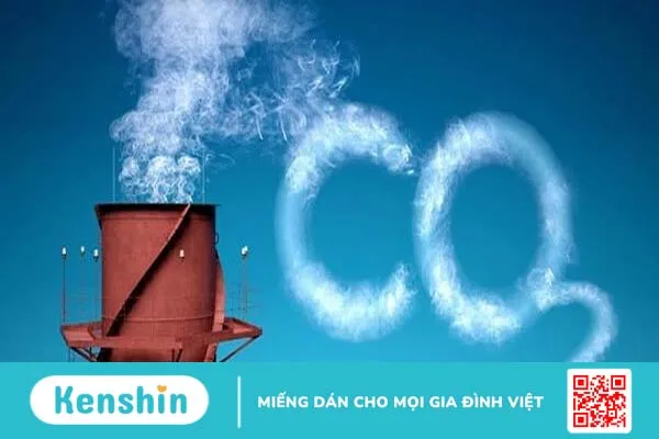 Ngộ độc khí Co2 cũng có thể gây hại đến tính mạng con người