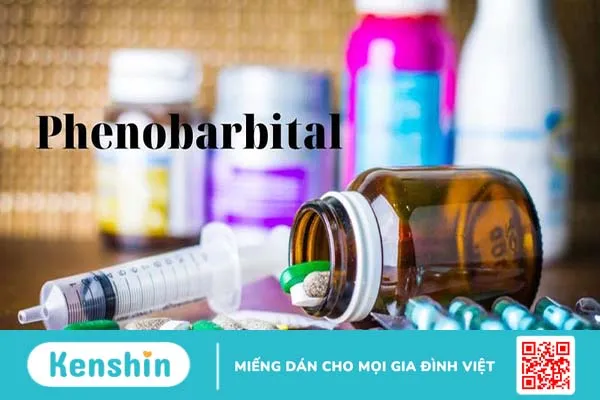 Ngộ độc phenobarbital là gì? Cần lưu ý gì khi sử dụng? 1