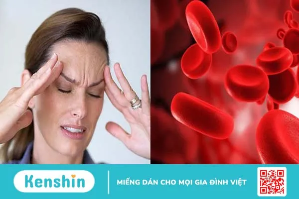 Thiếu máu xuất phát từ sự kém hụt hemoglobin hoặc tế bào hồng cầu