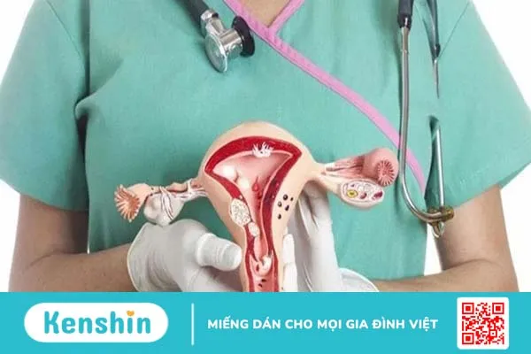 Người bị u xơ tử cung có được ăn lạc không? 1