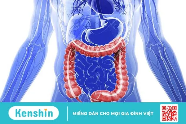 Nguyên nhân khiến trẻ đau bụng về đêm và biện pháp xử trí cho trẻ mà cha mẹ nên biết 1