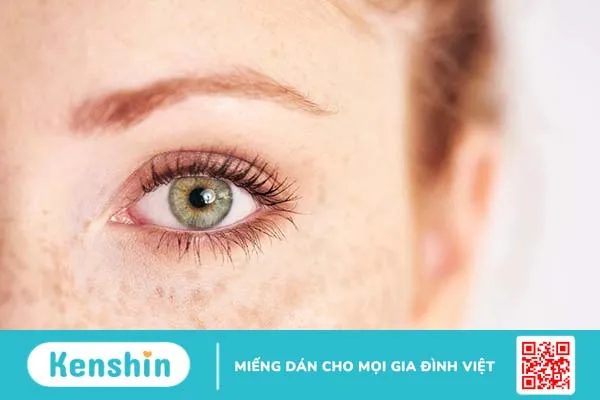 Chu kỳ tăng trưởng của lông mi gồm ba giai đoạn